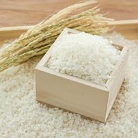 EDISONmama エジソンママ くちどけおこめぼー プレーン 【乳児用規格適用食品 離乳食 ベビーフード】 【7ヶ月～】