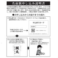 【五月人形】［QRコード申込式］名前旗刺繍 「白 鷹」高さ30cm 特小 (550113)男の子 台付き コンパクトトイザらス・ベビーザらス限定