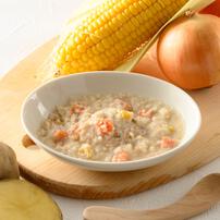 the kindest カインデスト サーモンと野菜のホワイトシチュー【離乳食 ベビーフード】【12カ月～】