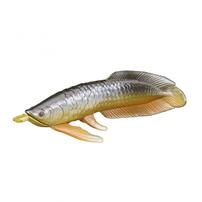 びっくらたまご Dotene おふろ釣りボム～Produced by Fischer's～もっとお魚大集合!?