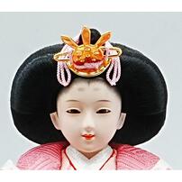 【雛人形】ケース親王飾り「枝桜刺繍御簾付パノラマアクリル」（322722）