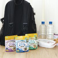 EDISONmama エジソンママ おさかなゴロっとパウチ さんまの旨煮【キッズフード ベビーフード】【1.5歳頃～】