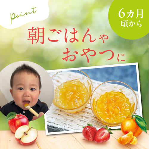 Pigeon ピジョン くだものスムージー MINOTTA 6個セット【離乳食 ベビーフード】【6カ月～】