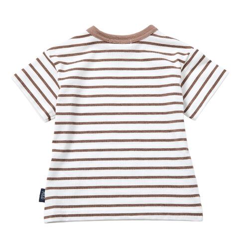 POLO BCS 半袖ボーダーＴシャツ ブラウン&times;80cm ベビーザらス限定